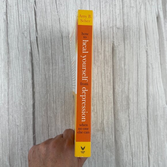๐ 3/$25 How to Heal Yourself From Depression When No One Else Can by Amy B Scher - Picture 3 of 5
